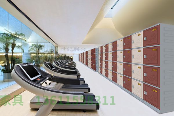 lyg体育馆健身房更衣柜储物柜